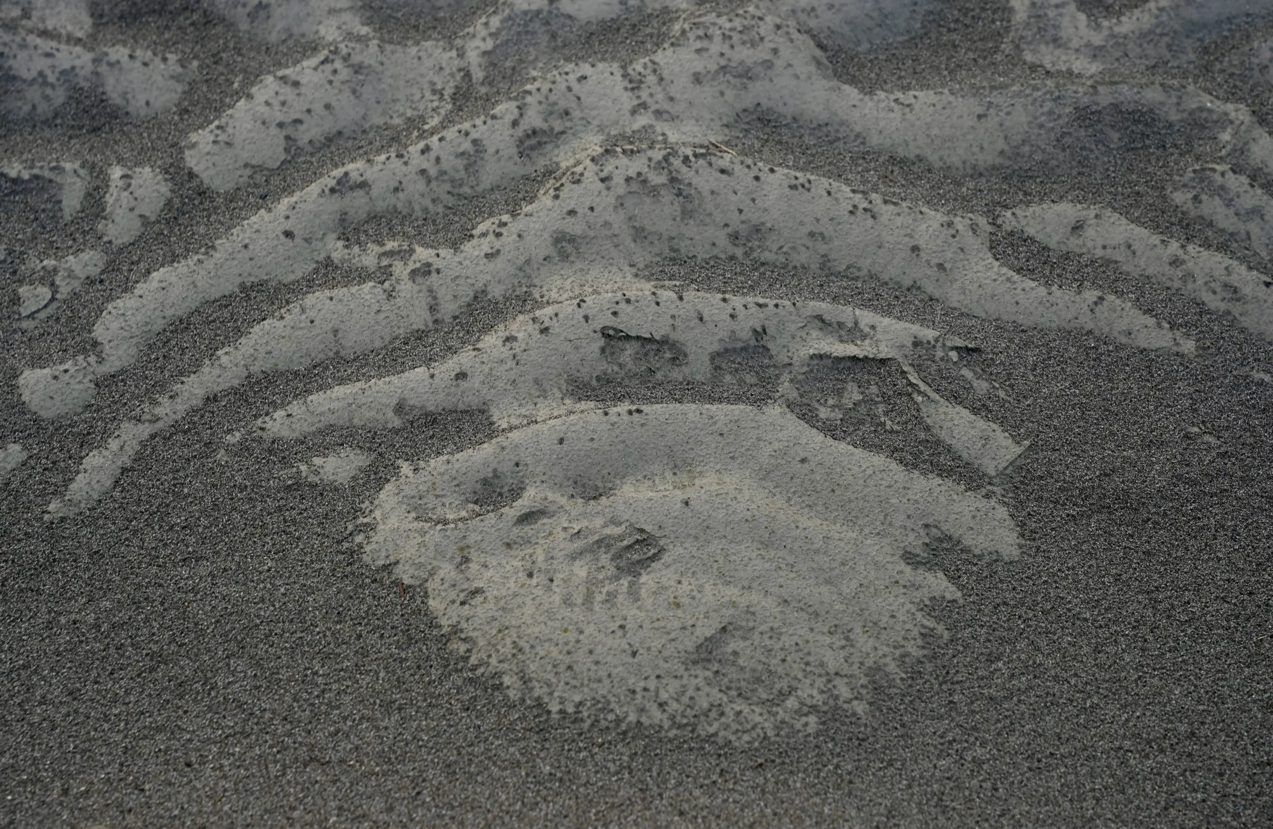 marcas parecidas a olas en la arena de un desierto