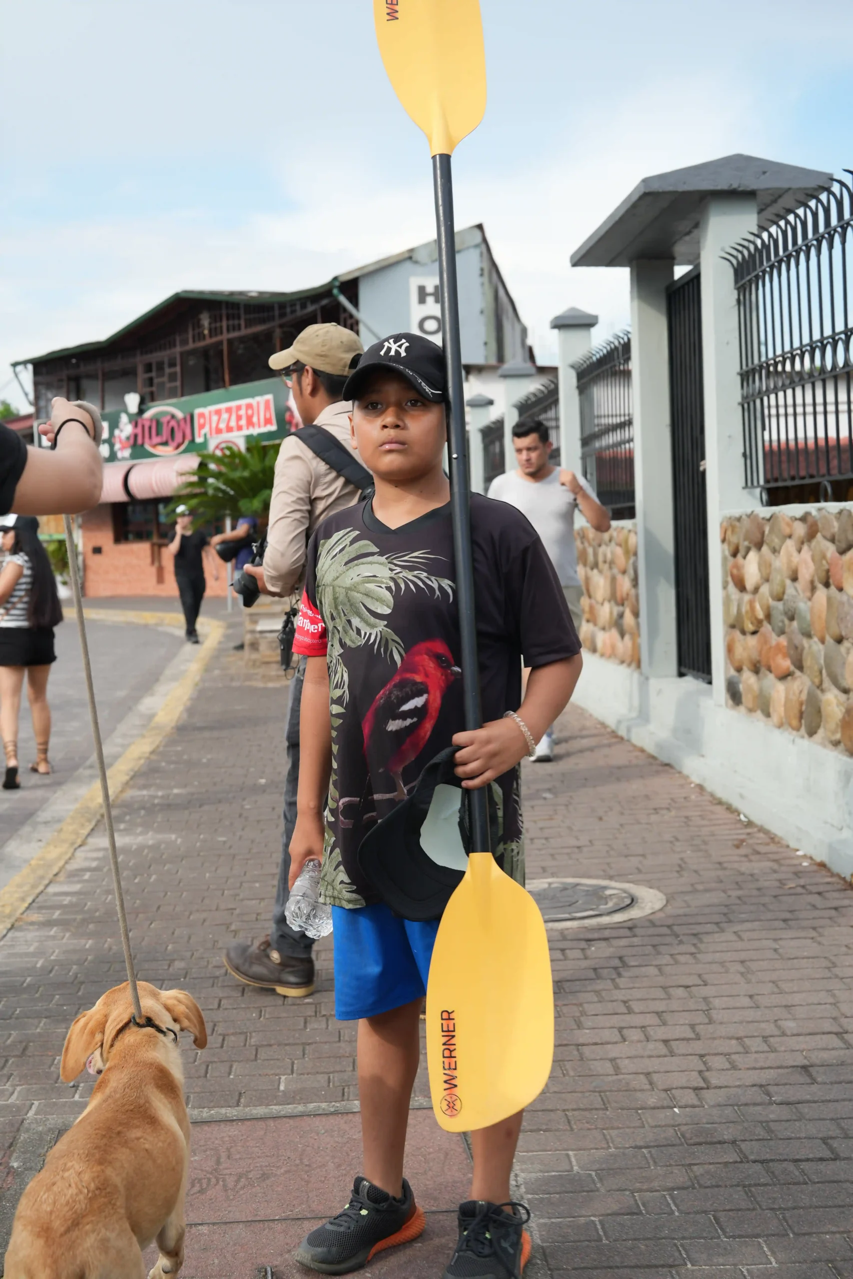 niño sosteniendo un remo junto a un perro