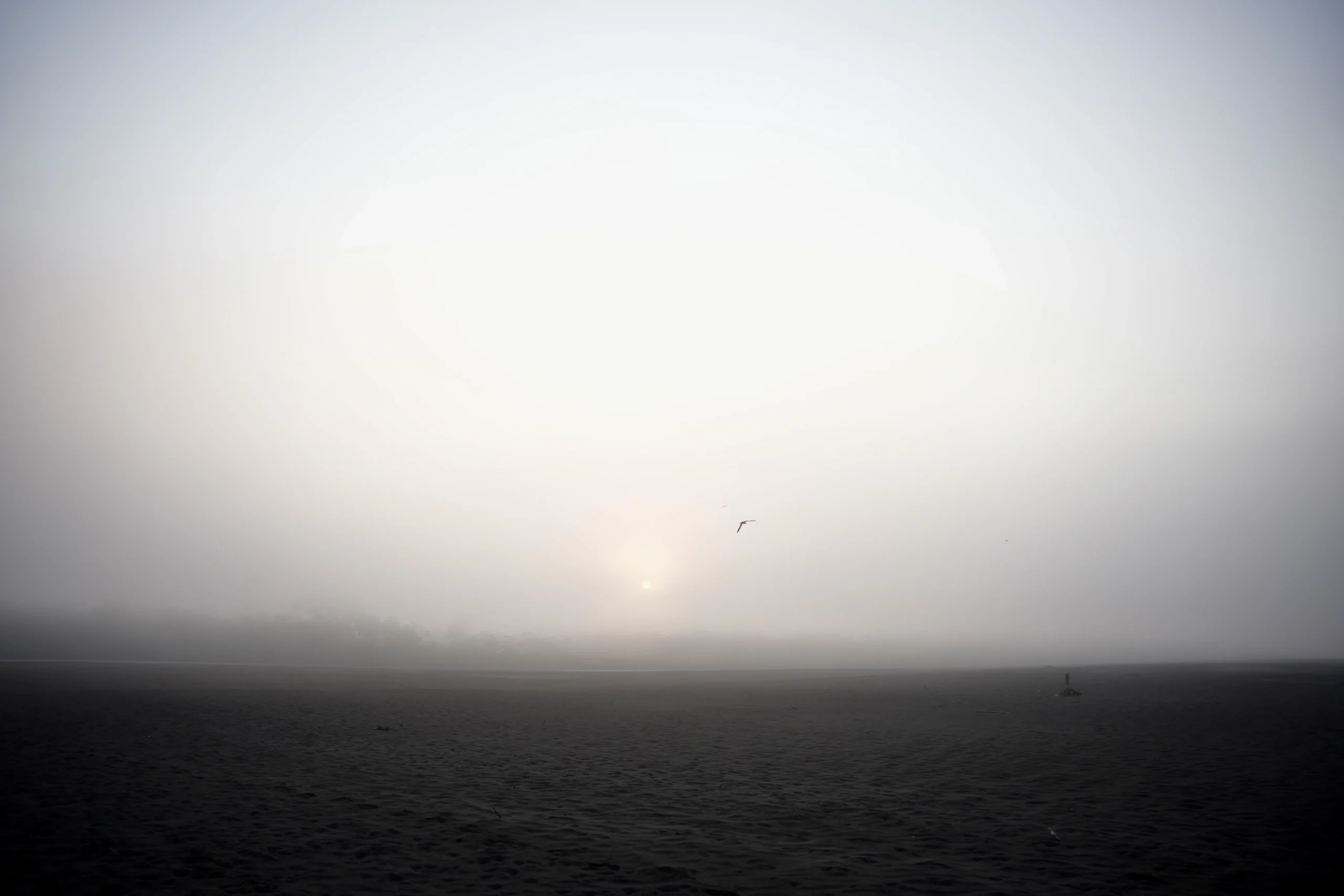 atardecer en un desierto con neblina